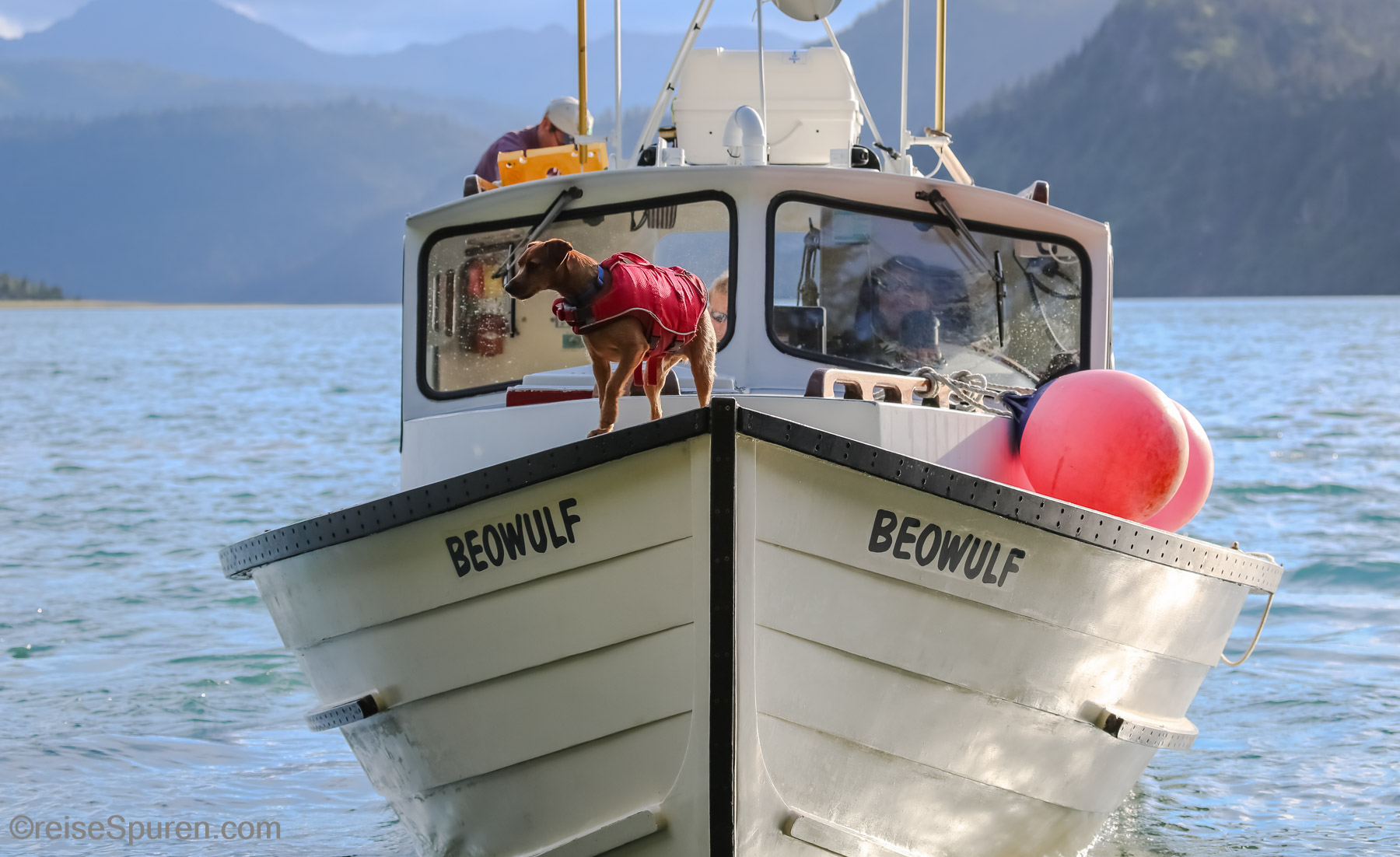 Transport zum Grewingk Glacier Lake Trail