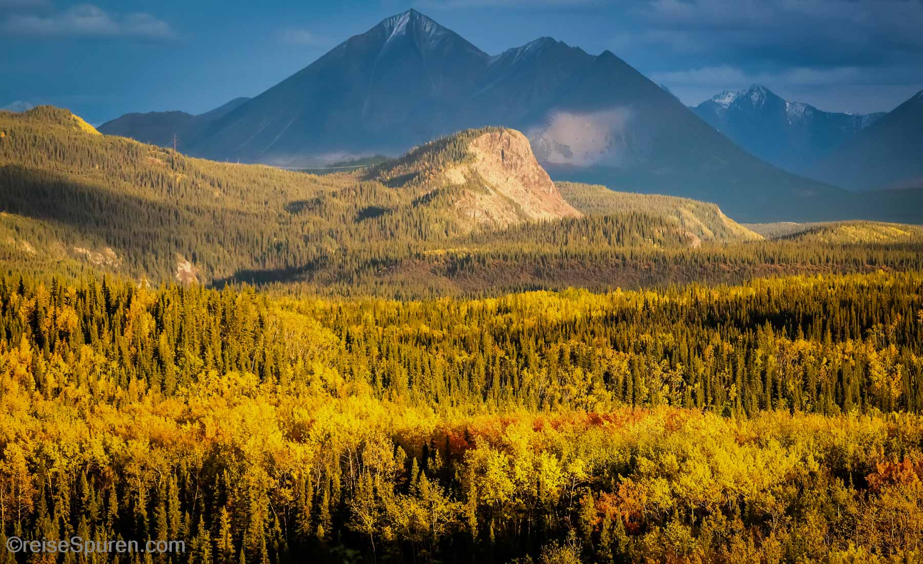 Denali National Park