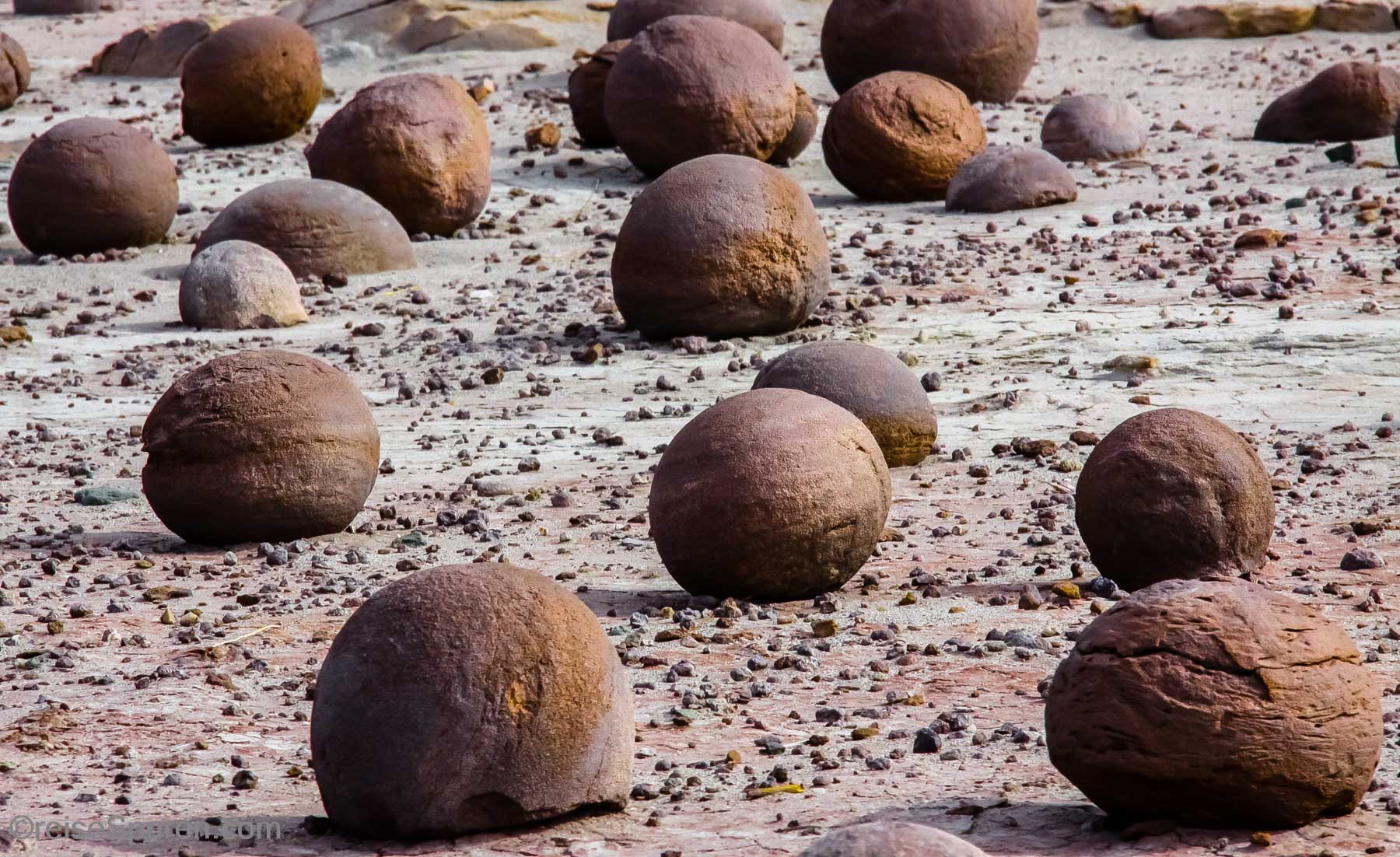 Ischigualasto PP