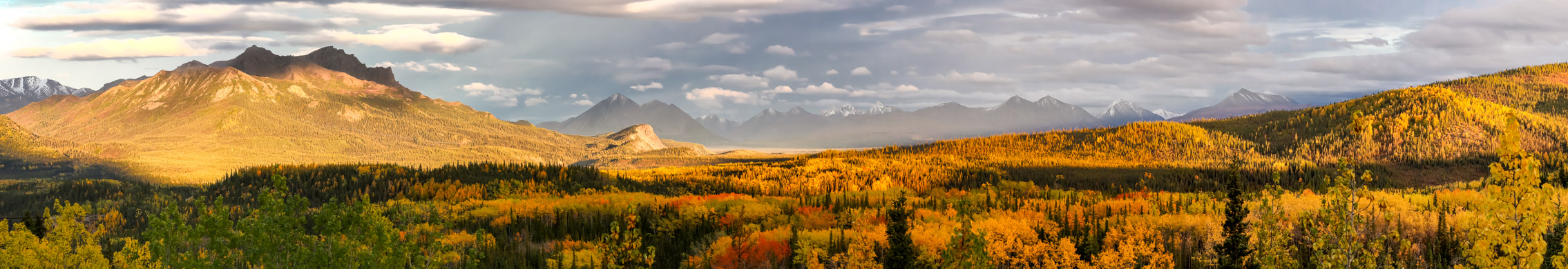 Abenstimmung Denali NP